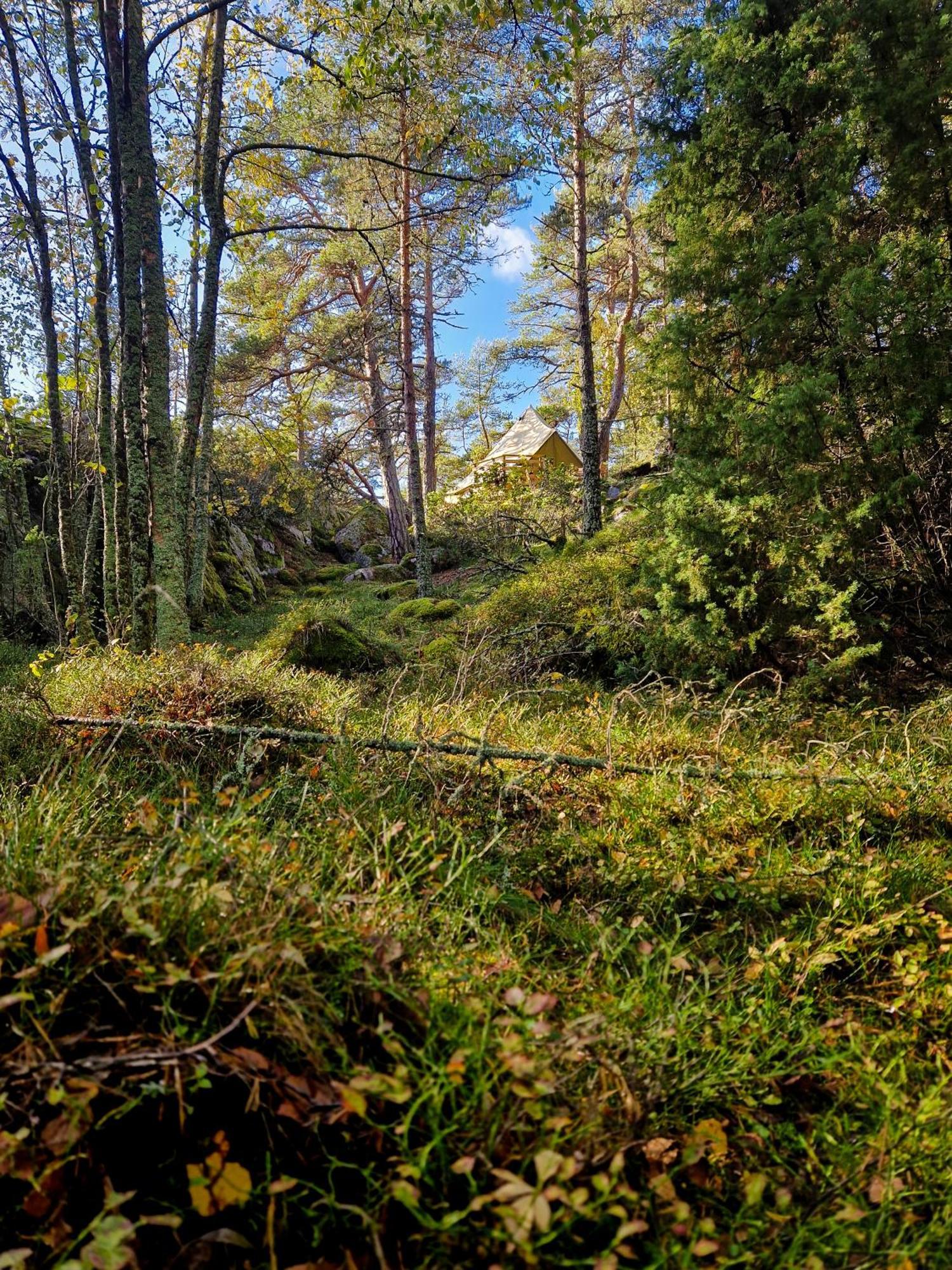 Lodge Braennskaer & Glamping